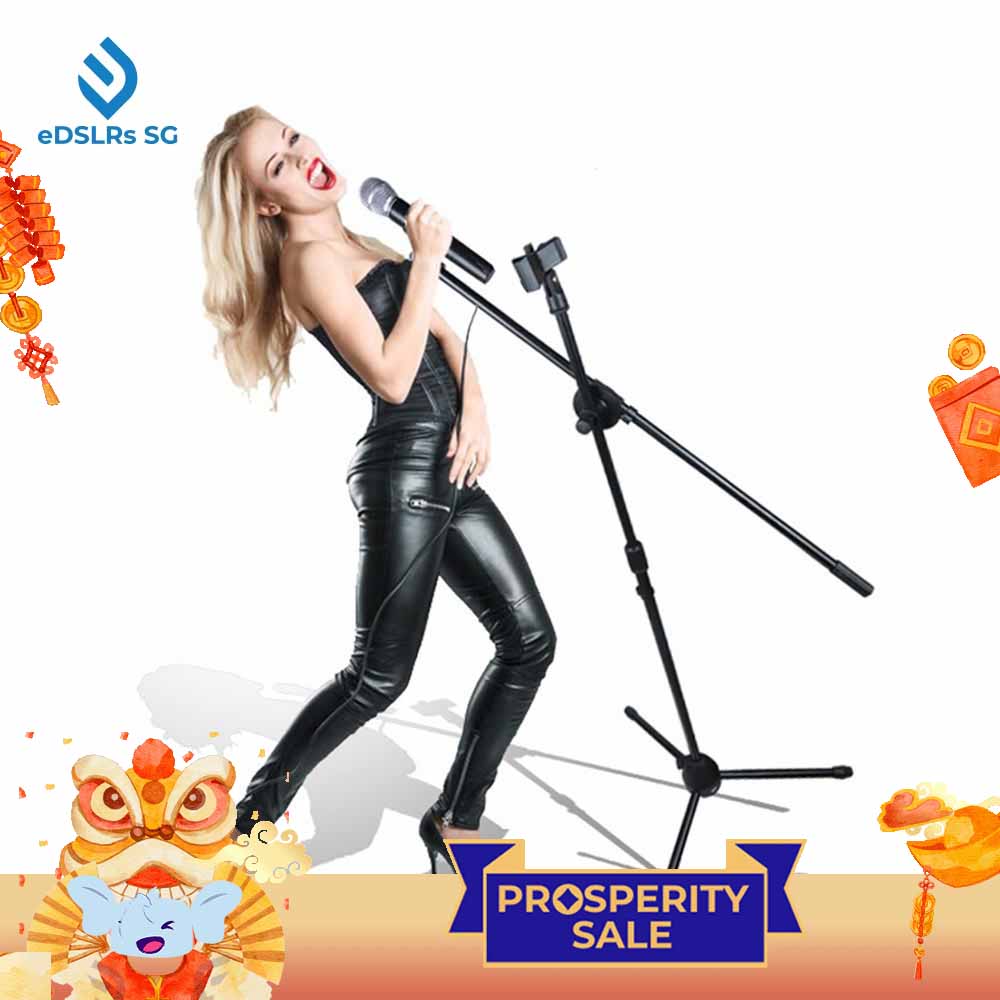 eDSLRs Professional Swing Boom Floor Stand Dual Microphone Holder Mic Stand Karaoke Singing TikTok